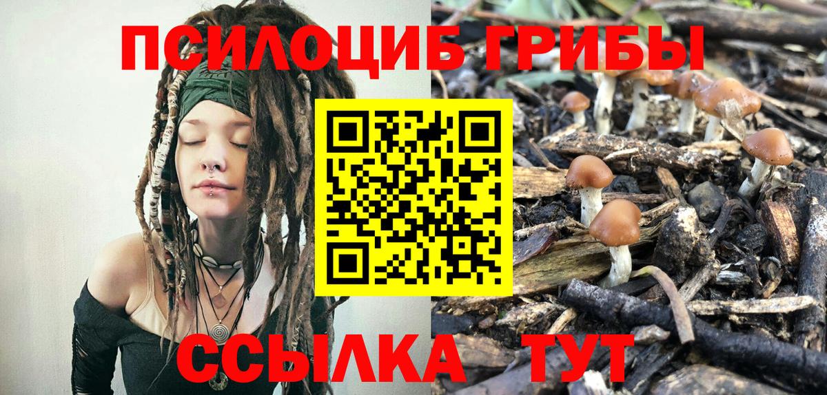 Псилоцибиновые грибы MAGIC MUSHROOMS  цены наркотик  Вход с VPN  Павловский Посад  Псилоцибиновые грибы мухоморы 